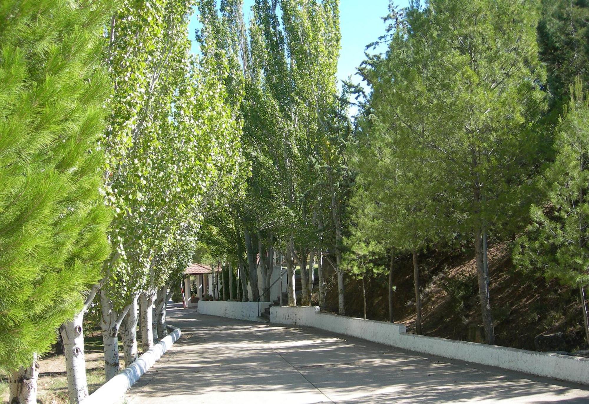 Lago Resort Nuevalos Luaran gambar